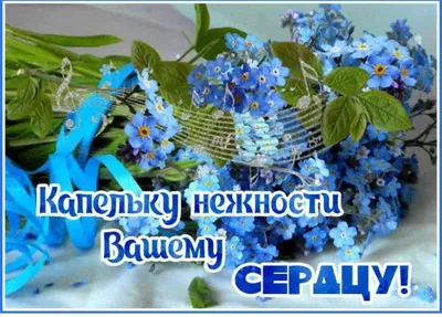 Красивые светящиеся бабочки в синем цвете с черным звездным небом  Иллюстрация штока - иллюстрации насчитывающей концепция, накалять: 201242309
