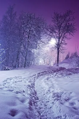 Короткие и красивые цитаты про зиму, волшебство и любовь! | Цитаты, Красивые  цитаты, Новогодние цитаты
