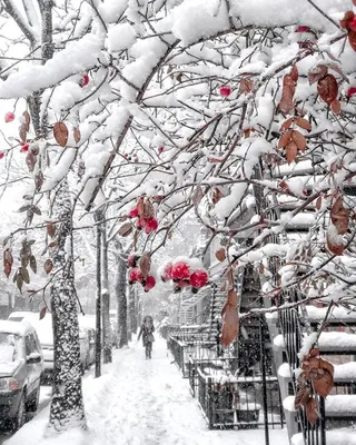 Зима снег картинки красивые - 66 фото