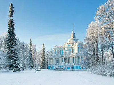 Самые сказочные снимки снежного Петербурга - KP.RU