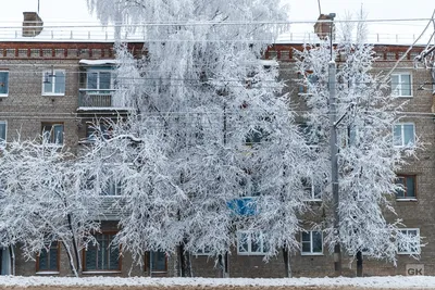 Съемка в зимнем городе: сюжеты, идеи, параметры — Российское фото