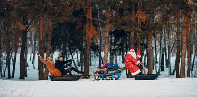 Настоящая зима: самые красивые фотографии ростовского снегопада в объективе  161.RU - 7 декабря 2018 - 161.ru