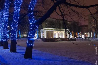 топ самых красивых улиц Петербурга, где стоит прогуляться зимой и сделать  фото