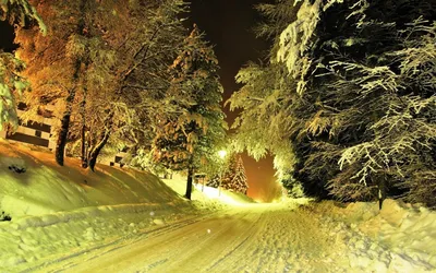 Настоящая зима: самые красивые фотографии ростовского снегопада в объективе  161.RU - 7 декабря 2018 - 161.ru