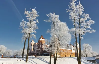 Что посмотреть и куда сходить в Петербурге зимой. Город за один день.