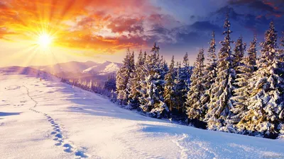 Красивые картинки зима нарисованная (37 фото)