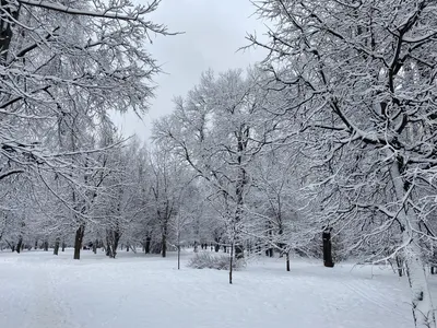 Красивые виды зимы - красивые фото