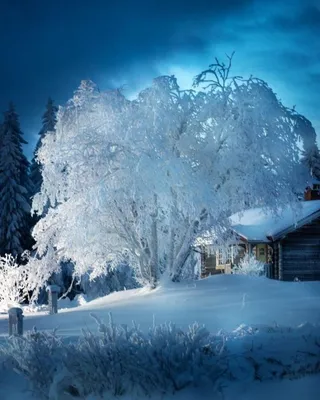 Красивые фото зима, зимний пейзаж, фотообои зима