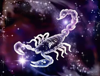 Знак Зодиака Скорпион и Звезда с кристаллами Сваровски Swarovski - красивая  фигурка Скорпион (ID#1951517974), цена: 410 ₴, купить на Prom.ua