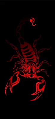 Скорпион зодиак - 72 фото