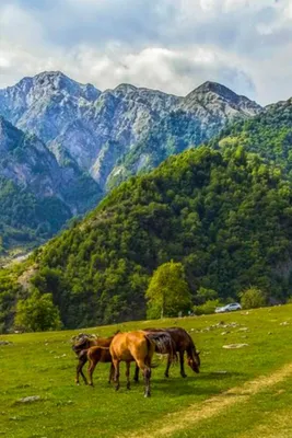 Азербайджан|Габала|Природа Азербайджана|Gabala|Azerbaijan| | Красивые места,  Азербайджан, Путешествия