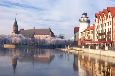 Города Калининградской области: топ-7 мест для отдыха на берегу Балтийского  моря - Журнал Виасан
