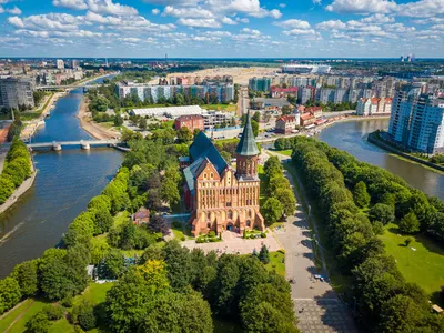 Природа Калининграда и области | Инфоцентр туризма