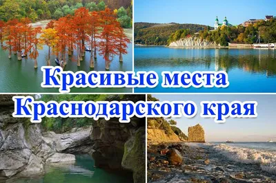 Где можно погулять в Краснодаре: интересные и красивые места в окрестностях  города | Краснодарский край | ФедералПресс