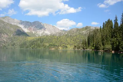 National Geographic: 8 самых диких и красивых мест Кыргызстана – Новости из  Кыргызстана – АКИpress