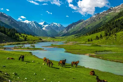 Кыргызстан (Киргизия) в 4К - Природа Киргизии - 4K Drone - Красивейшая  страна для путешествий - YouTube