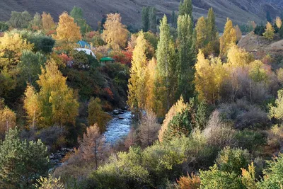 Природа и жизнь в Кыргызстане глазами туристов. Живые и красивые фотографии