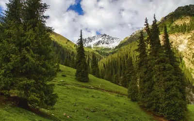 Природа Кыргызстана - красивые фото