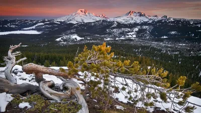 HD картинки природа - лето зима весна осень, скачать обои 2560x1600 высокого  качества