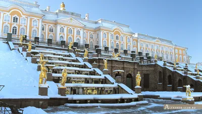 Куда сходить в Питере: гид по достопримечательностям Санкт-Петербурга зимой,  интересным местам и праздничным событиям — Яндекс Путешествия