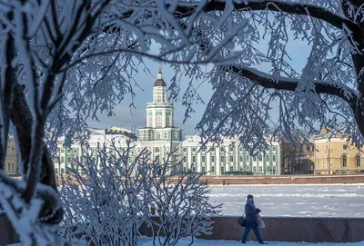 Санкт-Петербург зимой – куда сходить и что посмотреть в Питере зимой