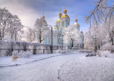 Лучшие места для зимних прогулок