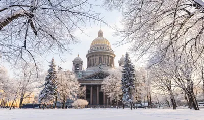Зимний Петербург - 74 фото