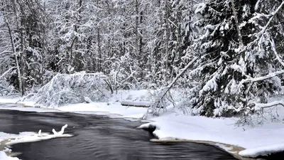 Санкт-Петербург зимой, куда сходить и что посмотреть