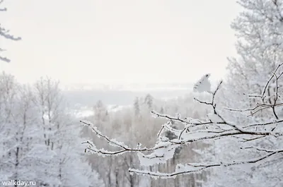 Пригороды Санкт-Петербурга: какие достопримечательности смотреть