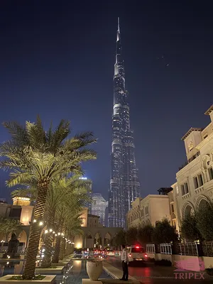 Самые красивые места в Дубае - статьи о Дубай от KingsRentCar