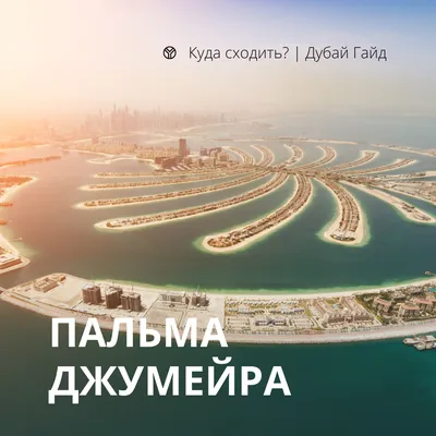 Новости - 🌳 В ближайшие месяцы Дубай будет радовать открытием 55 новых  парков!