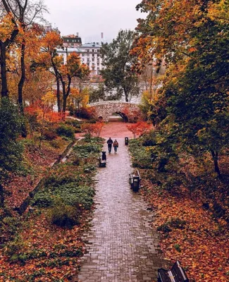 Золотая осень: красивые места для поездки на выходные недалеко от Москвы –  The City