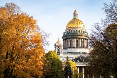 Куда съездить из Москвы на 1 день 🏛: красивые места и  достопримечательности в окрестностях — Tripster.ru