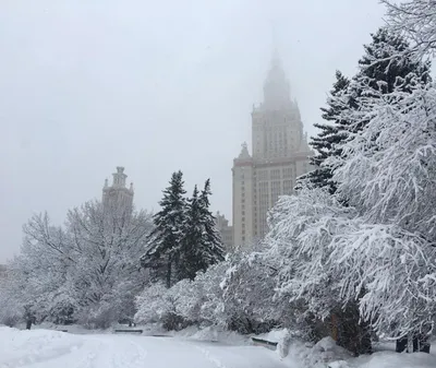 Что посмотреть в Москве зимой самостоятельно — Новый год, фестивали, красивые  места для прогулок