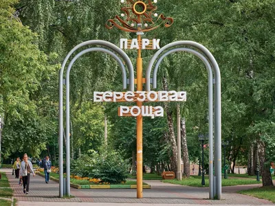 Город Новосибирск: климат, экология, районы, экономика, криминал и  достопримечательности | Не сидится
