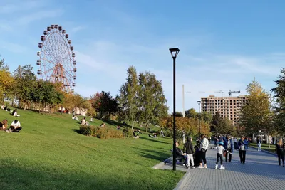 Парки Новосибирска 💥: список парков, скверов и садов для отдыха с  описанием и фото — Tripster.ru