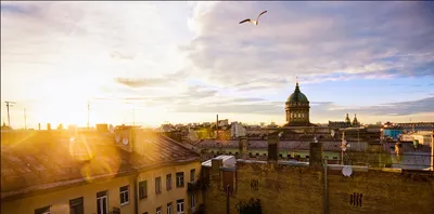 Лучшие достопримечательности Санкт-Петербурга - в какое время года и какие  места стоит посетить семьям с детьми, парам или одиноким туристам