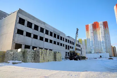 Улицы Сургута на всю зиму украсят гирляндами | Stribuna