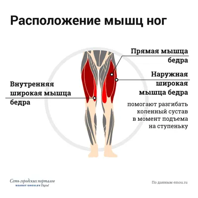 Упражнения для ягодиц: как накачать ягодичную мышцу девушке или мужчине |  Блог Spirit. Fitness