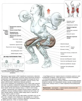 Десять упражнений для тренировки ваших ног - FixBody: спорт, бодибилдинг,  фитнес, кроссфит, мотивация