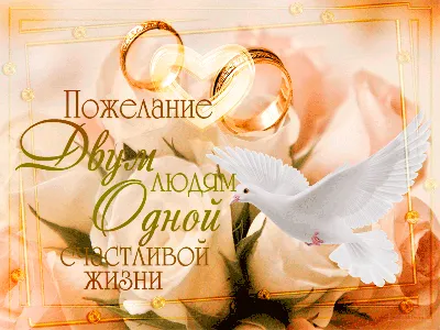 Красивые поздравления с днем свадьбы - в стихах, прозе, открытки и картинки  - kolobok.ua