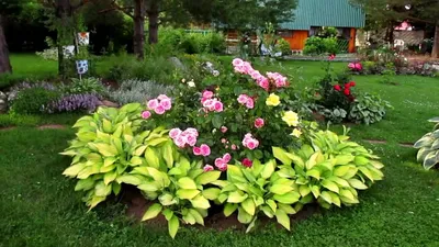 Rose garden designs for yard. Ideas - YouTube