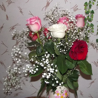 Самые красивые розы | Алекс Мейсон | Дзен
