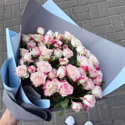 Красивые розы\" купить в интернет магазине по лучшей цене с доставкой по  Москве и всей России