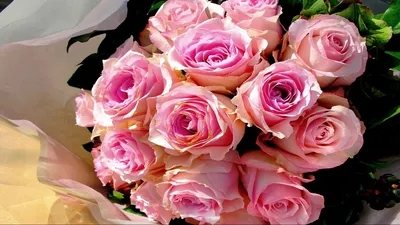 Обои розы, букет, розовые, оформление картинки на рабочий стол, фото  скачать бесплатно