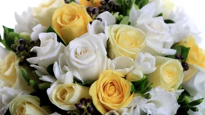Обои розы, цветы, белые, желтые, букет, композиция, красиво картинки на рабочий  стол, фото скачать бесплатно