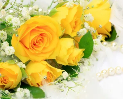 Обои красивые, цветы, жёлтые, желтые, розы на рабочий стол
