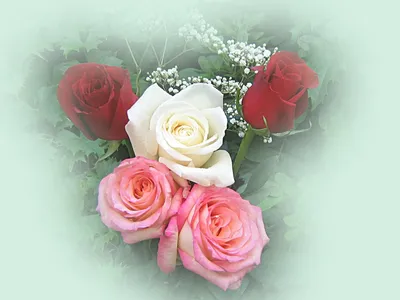 Букеты Красивых Роз - Обои для рабочего стола