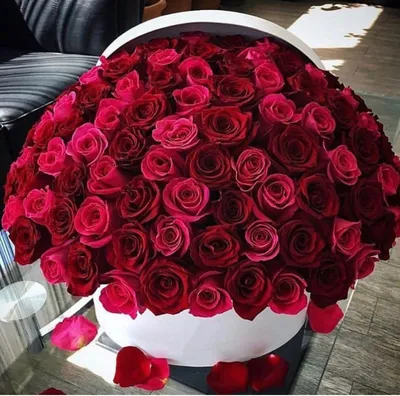 Красивый букет из 35 английских роз по цене 11626 руб. заказать с доставкой  по Москве - свежие цветы от интернет-магазина \"Во имя розы\"