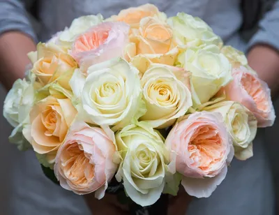 Купить Букет «Красивые Розы Джумилии» в Москве недорого с доставкой